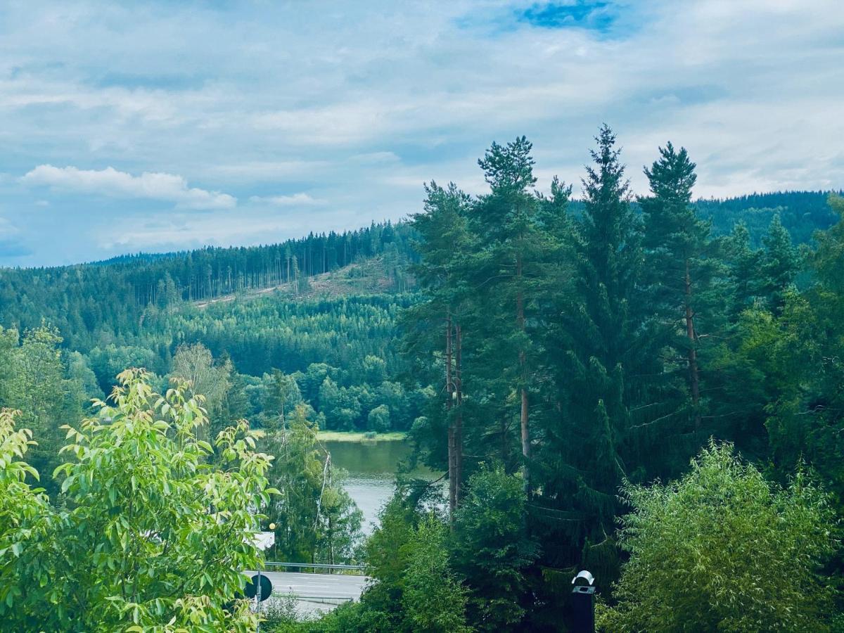 Apartmany Lipno 46 Lipno nad Vltavou Extérieur photo