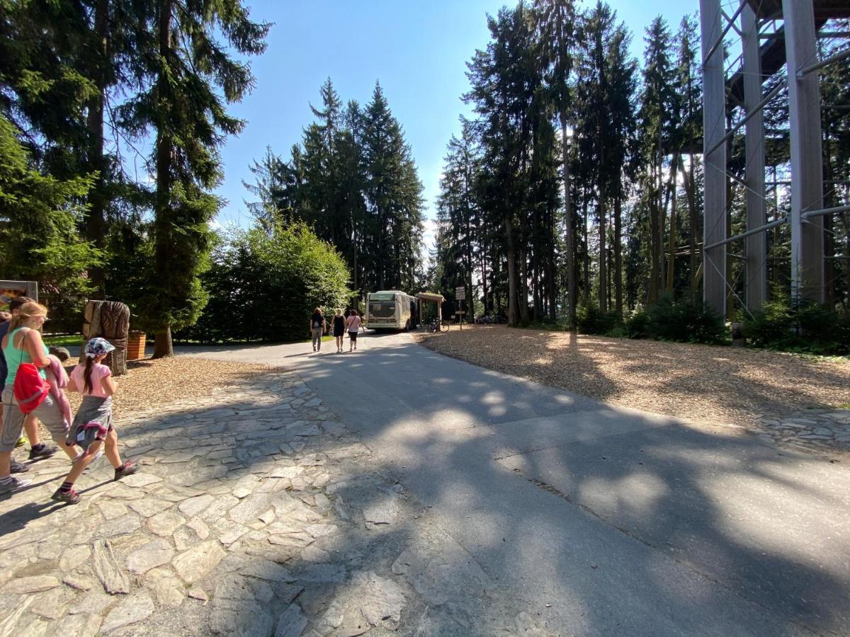 Apartmany Lipno 46 Lipno nad Vltavou Extérieur photo