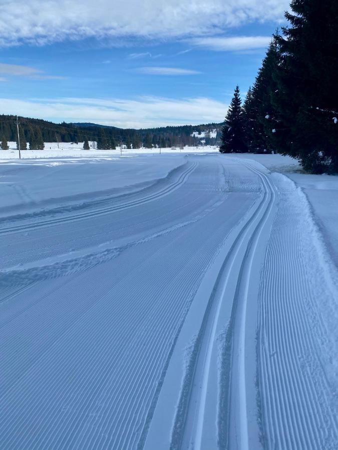 Apartmany Lipno 46 Lipno nad Vltavou Extérieur photo